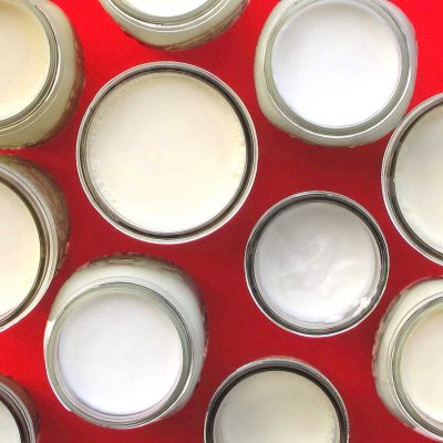 How to Maintain a Yogurt Culture | Brod & Taylor