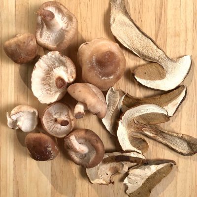 Dehydrating Mushrooms – Never Free Farm