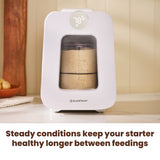 Steady conditions keep your starter healthy longer between feedings.