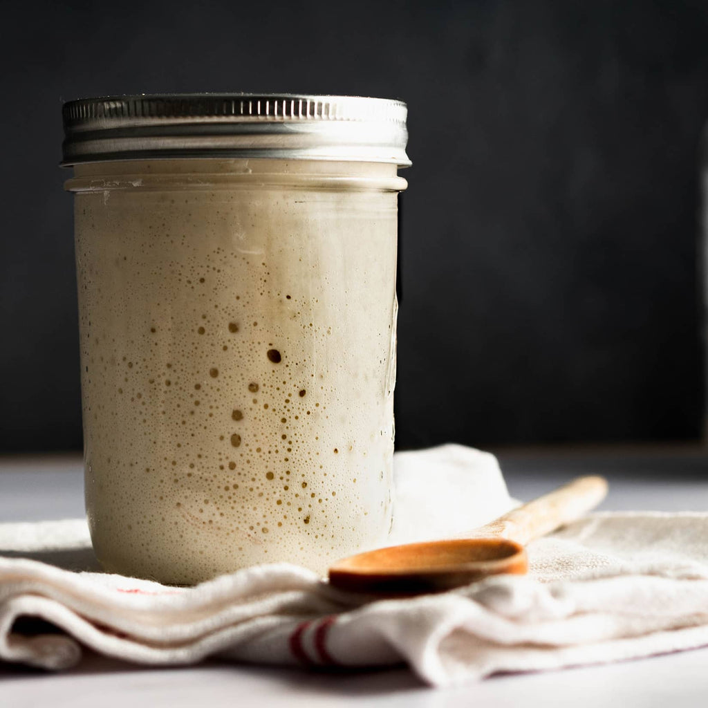 Mold on Your Sourdough Starter? Check out These Causes - Our