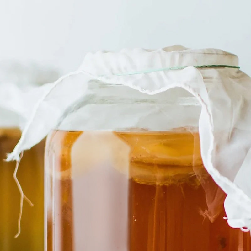 How to Grow a Kombucha Scoby — in just 10-12 Days