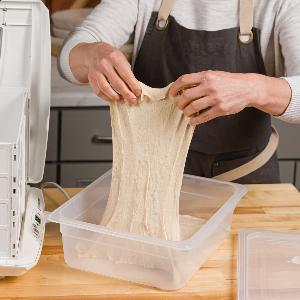 Container 6l Proofing Container (6L) – Brod & Taylor