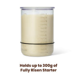 Sourdough Essentials Kit