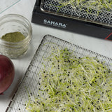 Mesh Drying Sheet for the Sahara stainless steel shelves with alfalfa sprouts 