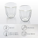 Double-Wall Insulated Espresso Glass Infographics